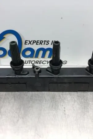 Veilige Betaling Bobine CITROËN XSARA PICASSO (N68)