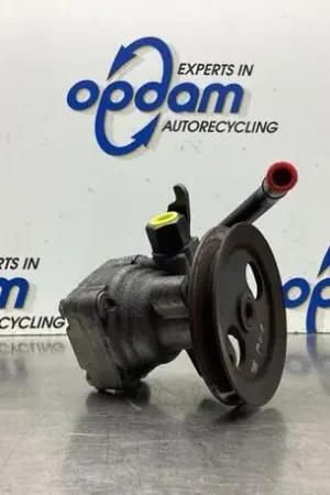 Stuurbekrachtigingspomp HYUNDAI GETZ (TB) Groothandel