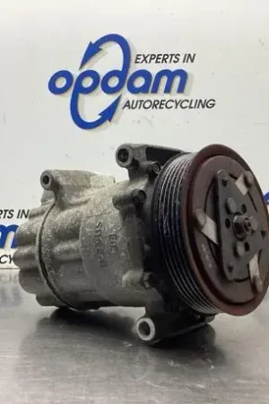 Airco Compressor PEUGEOT 207 (WA_, WC_), CITROËN C3 II (SC_), CITROËN DS3, PEUGEOT 307 (3A/C) Favoriet