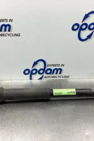 Schokdemper SMART FORFOUR (454) Hete Deal