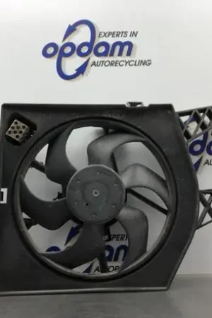 Elektrische motor radiateurventilator RENAULT TWINGO II (CN0_) Lage Kosten