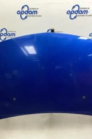 Fabrieksprijs Motorkap RENAULT CLIO III (BR0/1, CR0/1), RENAULT CLIO II (BB_, CB_), RENAULT CLIO IV (BH_)