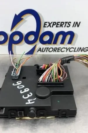 Gratis Verzending Computer Boordnet (BCM/BDC) RENAULT TWINGO II (CN0_)