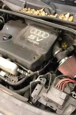 Bekleding voorpaneel AUDI TT (8N3) Favoriet