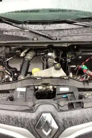 Motor RENAULT KANGOO Express (FW0/1_) Nieuw