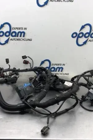 Origineel Kabelboom OPEL CORSA E (X15)