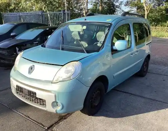 In De Mode Spatbord RENAULT KANGOO / GRAND KANGOO (KW0/1_)