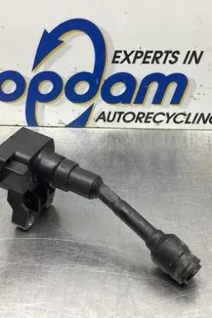 Bobine FORD FIESTA VII (HJ, HF), FORD FIESTA VI (CB1, CCN), FORD FOCUS III, FORD ECOSPORT Gratis Verzending