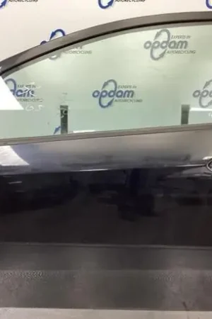 Deur FIAT GRANDE PUNTO (199_), FIAT PUNTO EVO (199_), ABARTH GRANDE PUNTO, FIAT PUNTO (199_) Goedkoop