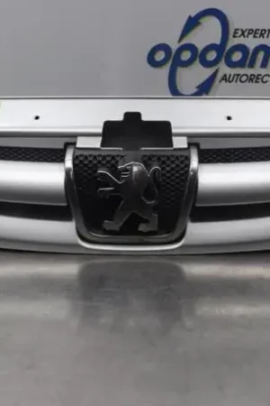 Radiateurgrille PEUGEOT PARTNER Box Body/MPV (5_, G_), PEUGEOT PARTNER MPV (5_, G_) Origineel