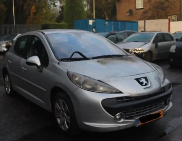 Buitenspiegel PEUGEOT 207 (WA_, WC_) Modern