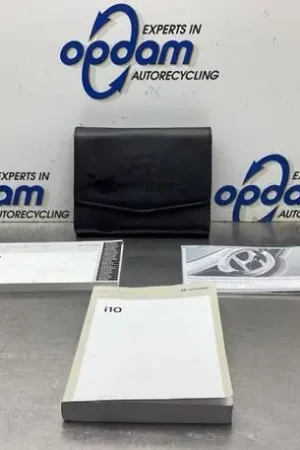 Handleiding HYUNDAI i10 III (AC3, AI3) Ambachtelijk