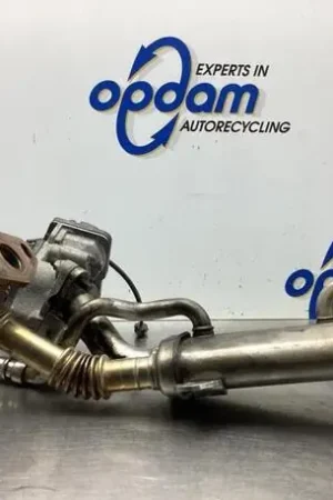 Uitlaatgasregelingsklep RENAULT MEGANE III Grandtour (KZ0/1), RENAULT CAPTUR I (J5_, H5_), RENAULT CLIO IV (BH_) Limited Edition