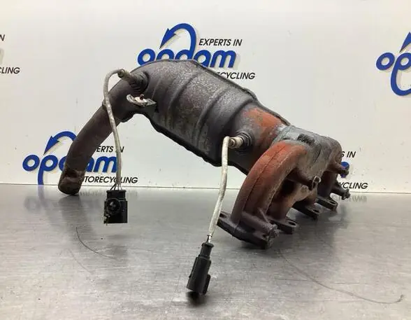 Populair Katalysator FIAT PANDA (169_)