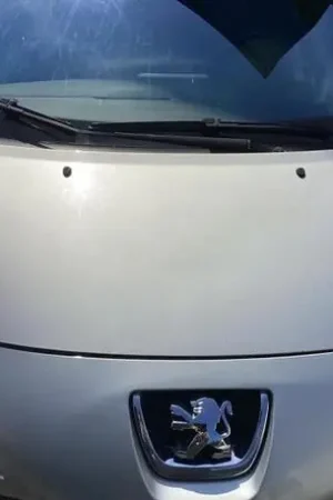 Geld-Terug-Garantie Motorkap PEUGEOT 207 (WA_, WC_)