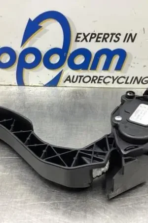 Gaspedaal RENAULT CLIO IV Grandtour (KH_) Laatste Versie