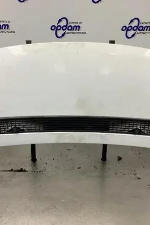 Motorkap FIAT SCUDO Van (270_, 272_), FIAT SCUDO Bus (270_, 272_) Betaalbaar