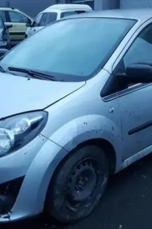 Budget Astap RENAULT TWINGO II (CN0_)