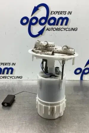 Brandstofpomp PEUGEOT 2008 I (CU_), PEUGEOT 208 I (CA_, CC_), CITROËN C4 CACTUS In De Mode