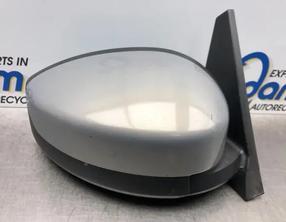 Express Levering Buitenspiegel RENAULT ESPACE IV (JK0/1_)