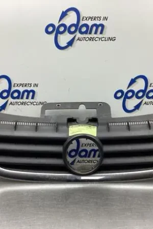 Radiateurgrille VW TOURAN (1T1, 1T2), VW TOURAN (1T3), VW TOURAN VAN (1T1, 1T2) Lage Kosten