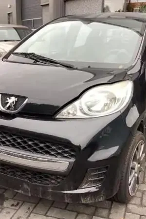 Authentiek Handgeschakelde versnellingsbak PEUGEOT 107 (PM_, PN_)