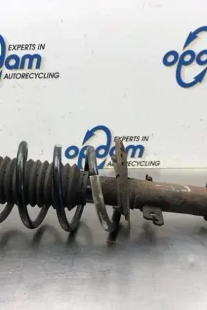 Veerpoot RENAULT KANGOO Express (FW0/1_) Bestel Nu