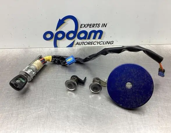 Slotcilinderset PEUGEOT 206 Hatchback (2A/C), PEUGEOT 206 Saloon, PEUGEOT 206 SW (2E/K) Lage Kosten