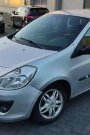 Astap RENAULT CLIO III (BR0/1, CR0/1), RENAULT CLIO IV (BH_), RENAULT CLIO II (BB_, CB_) Professioneel