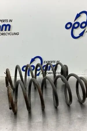 Handgemaakt Chassisveer SMART FORFOUR (454)