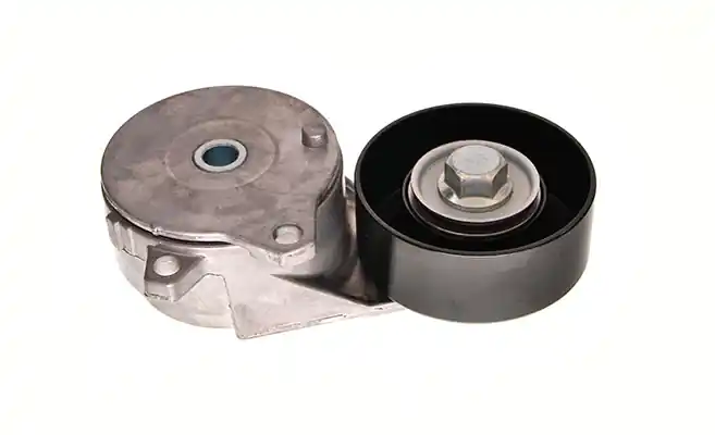 Spanner poly V-riem Maxgear 54-1631 Op = Op