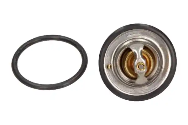 Lage Prijs Thermostaat Maxgear 67-0048