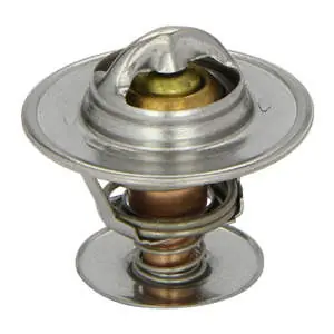 Ambachtelijk Thermostaat Maxgear 67-0140