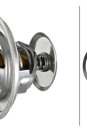 Bestel Nu Thermostaat Hella 8MT 354 778-481