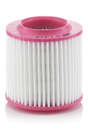 Populair Luchtfilter Mann-Filter C 1343