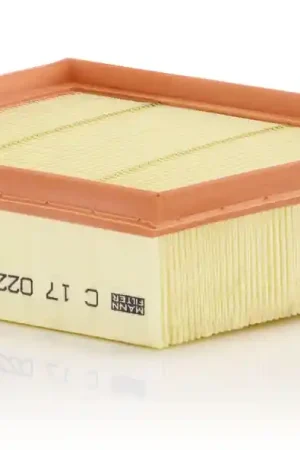 Luchtfilter Mann-Filter C 17 022 Direct Verzonden