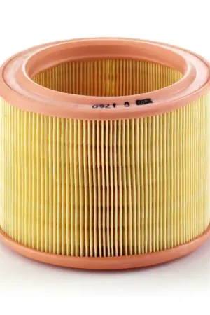 Goedkoop Luchtfilter Mann-Filter C 1760