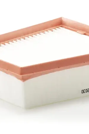 Luchtfilter Mann-Filter C 2030 Geld-Terug-Garantie