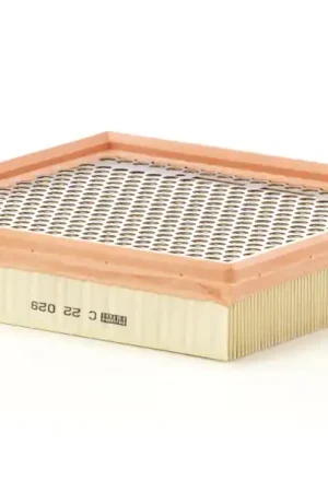 Professioneel Luchtfilter Mann-Filter C 22 029
