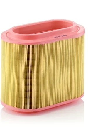 Veilige Betaling Luchtfilter Mann-Filter C 24 196