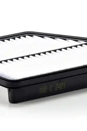 Luchtfilter Mann-Filter C 2421 Lage Kosten