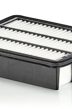 Betaalbaar Luchtfilter Mann-Filter C 26 028