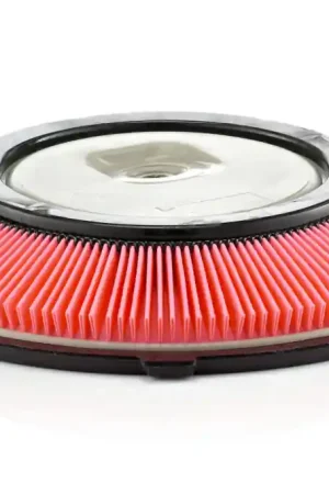 Nieuw Luchtfilter Mann-Filter C 2821