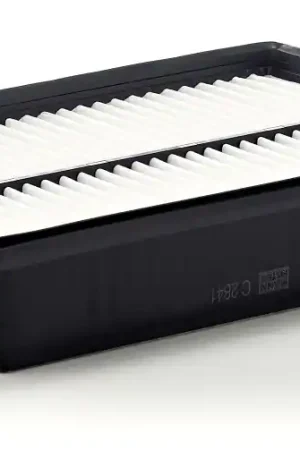 Laatste Kans Luchtfilter Mann-Filter C 2841