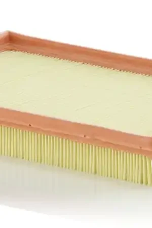 Luchtfilter Mann-Filter C 2880 Budget