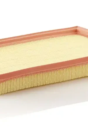 Luchtfilter Mann-Filter C 29 020 Koop Online