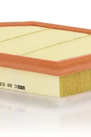 Garantie Inbegrepen Luchtfilter Mann-Filter C 29 030