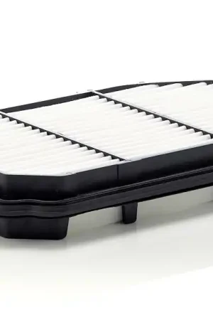 Luchtfilter Mann-Filter C 2931 Professioneel