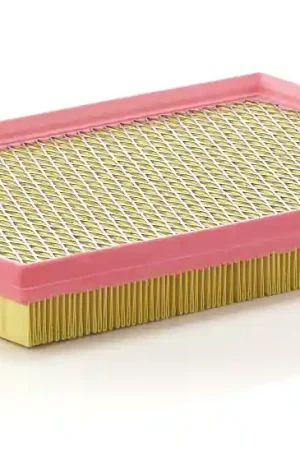 Favoriet Luchtfilter Mann-Filter C 2975