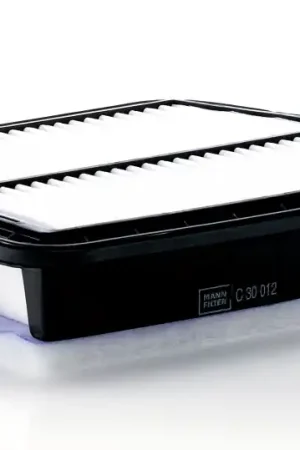 Lage Kosten Luchtfilter Mann-Filter C 30 012